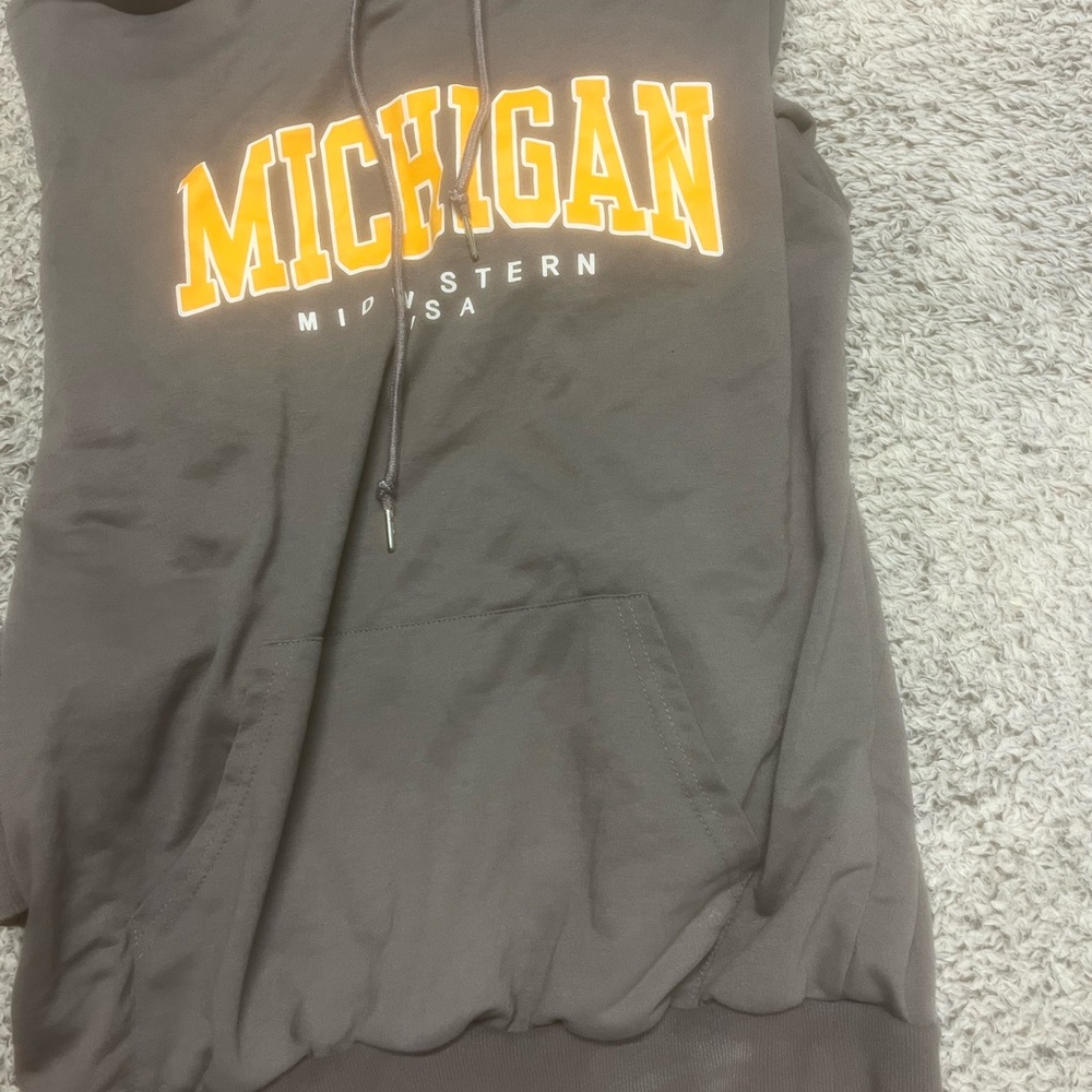 GREY MICHIGAN hoodie